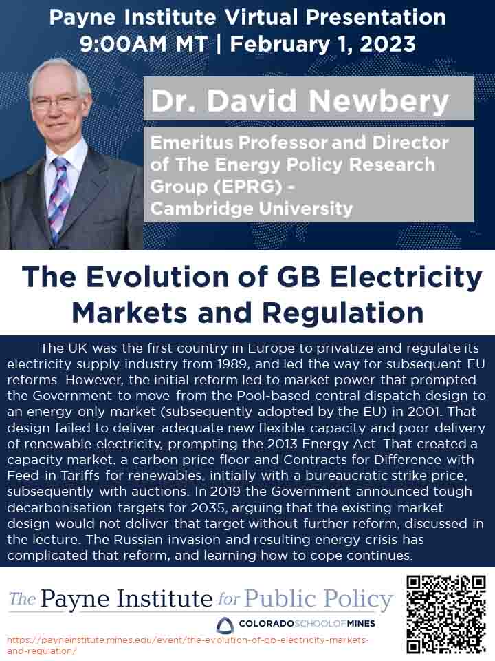 David Newbery Lecture